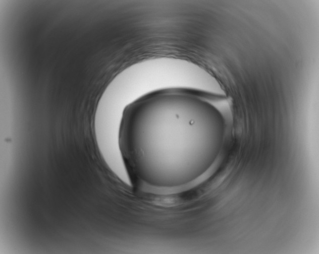 X0000094790332200711301611