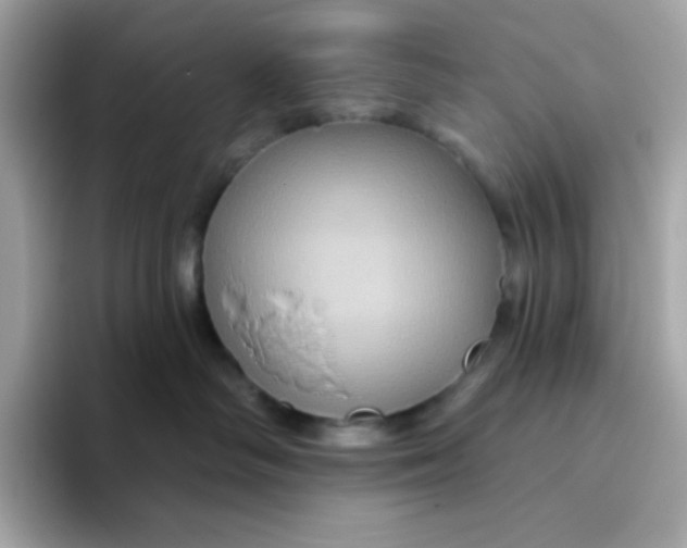 X0000094790334200711301611