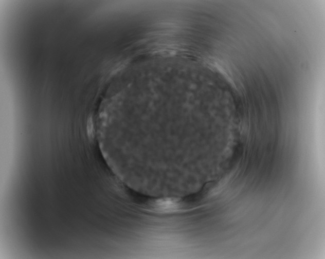 X0000094790335200711301611