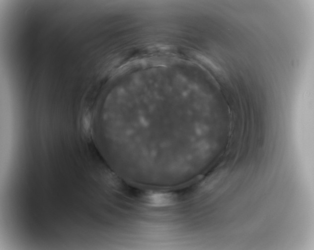 X0000094790336200711301611