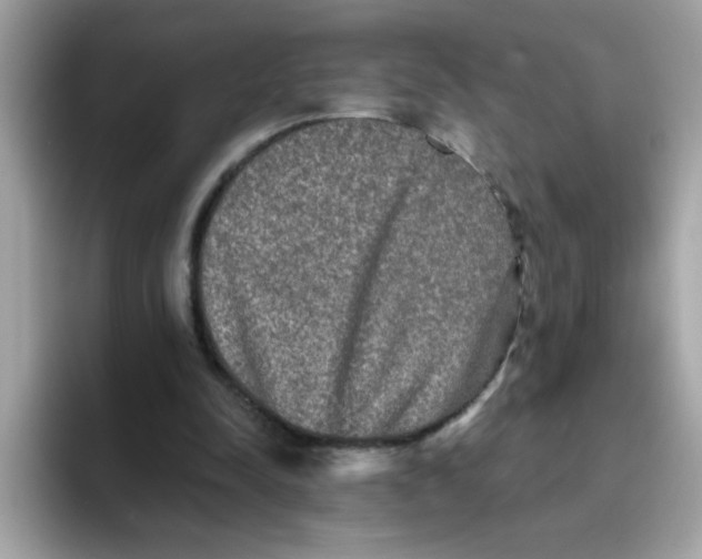 X0000094790342200711301610