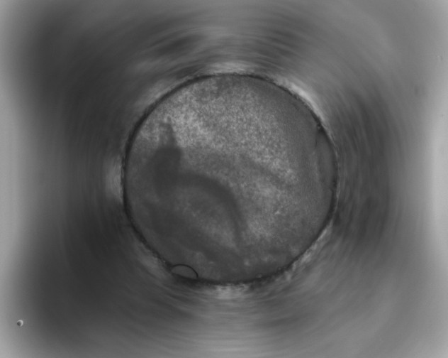 X0000094790345200711301611