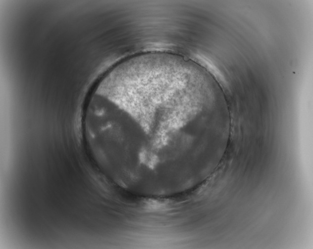 X0000094790346200711301611