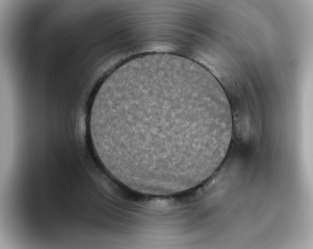 X0000094790350200711301611