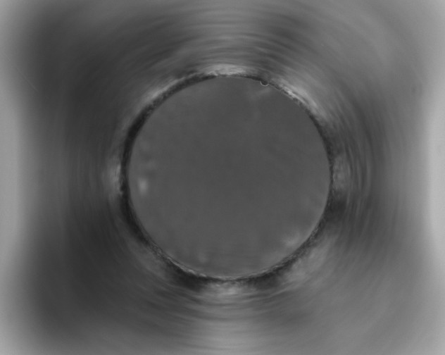 X0000094790351200711301611