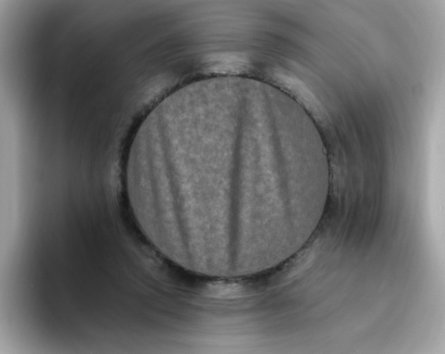 X0000094790354200711301611