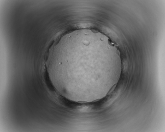 X0000094790356200711301611