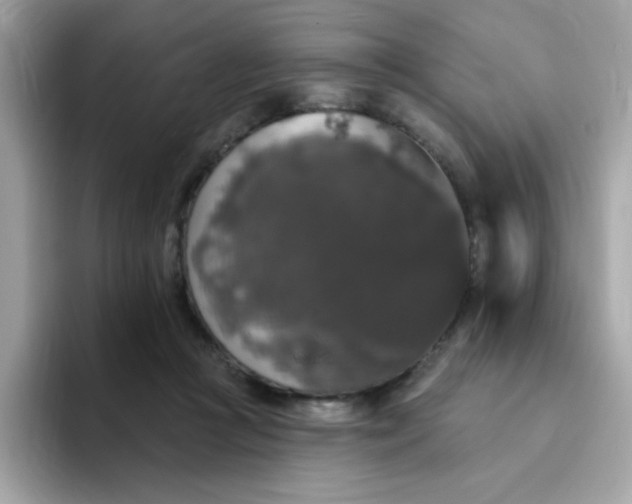 X0000094790361200711301611