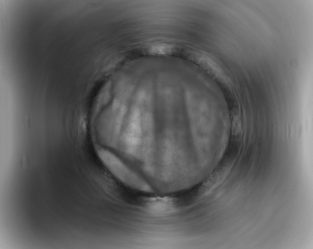 X0000094790363200711301611