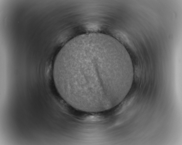 X0000094790364200711301611