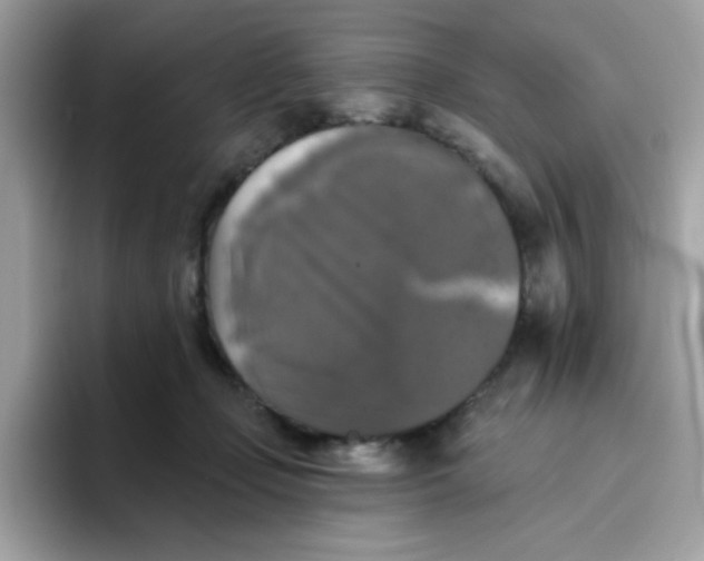 X0000094790365200711301611