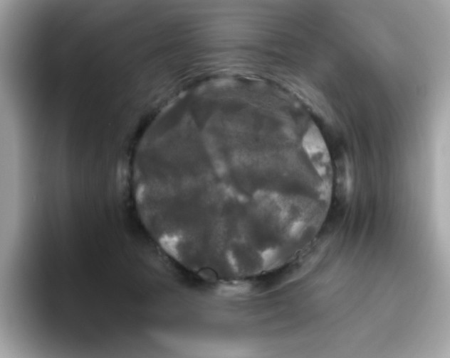 X0000094790369200711301611