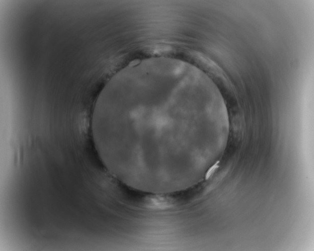 X0000094790372200711301611