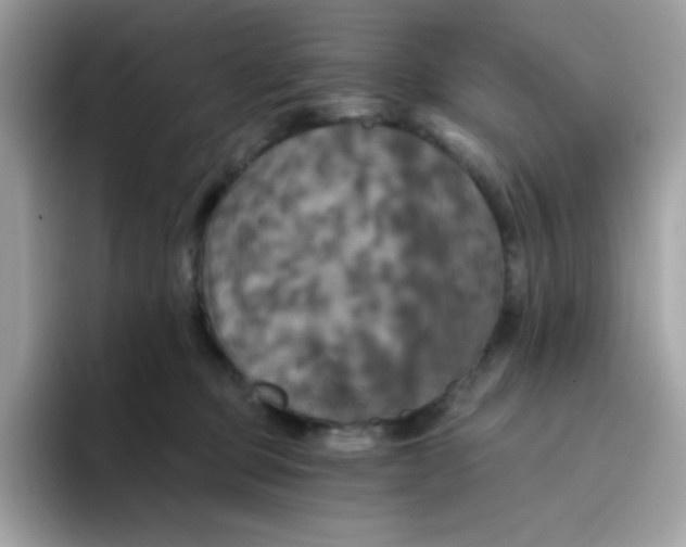 X0000094790373200711301611