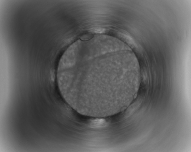 X0000094790374200711301611