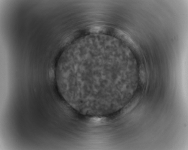 X0000094790375200711301611