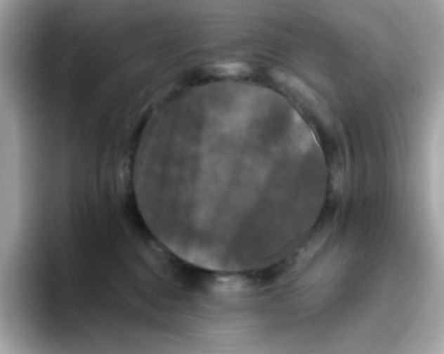 X0000094790376200711301611