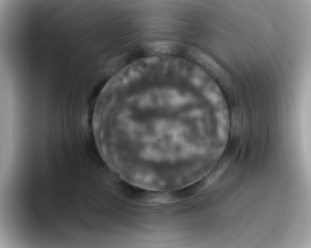 X0000094790377200711301611