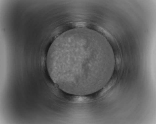 X0000094790379200711301611