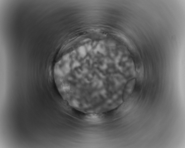 X0000094790381200711301611