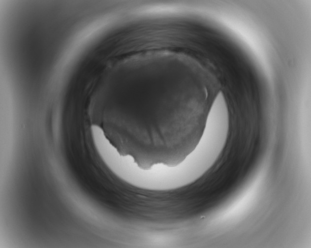 X0000094790382200711301611