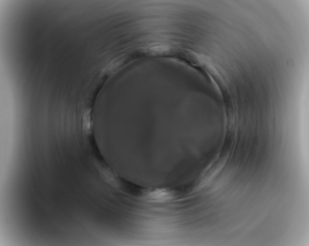 X0000094790383200711301611