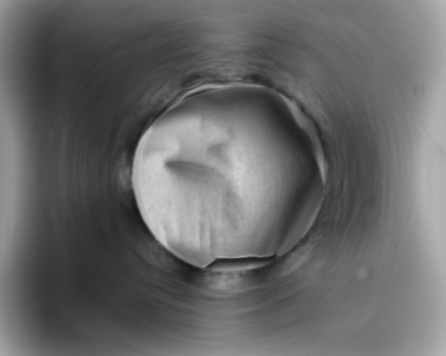 X0000094790384200711301611