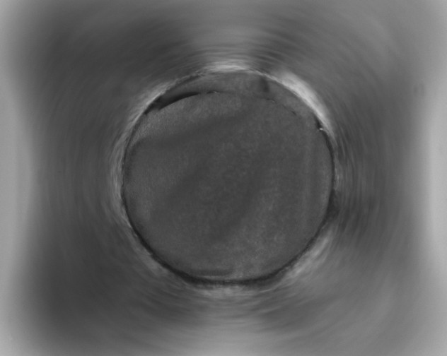 X0000094790385200711301610