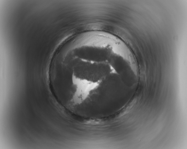 X0000094790386200711301610