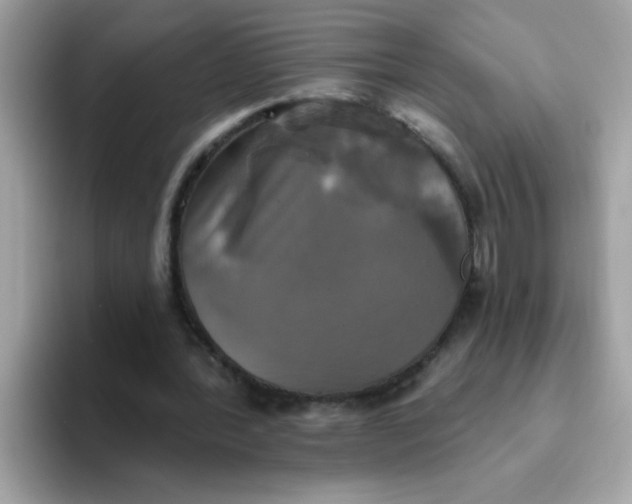 X0000094790388200711301610