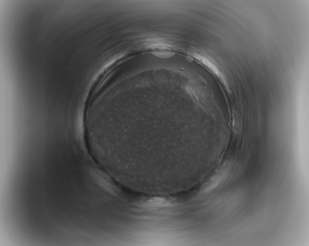 X0000094790390200711301610