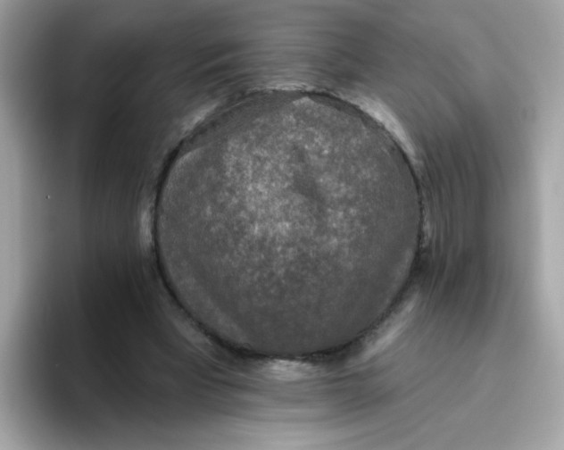 X0000094790393200711301610