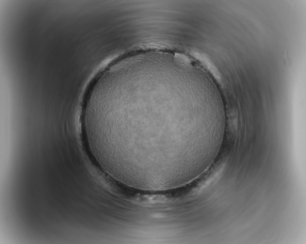 X0000094790395200711301610