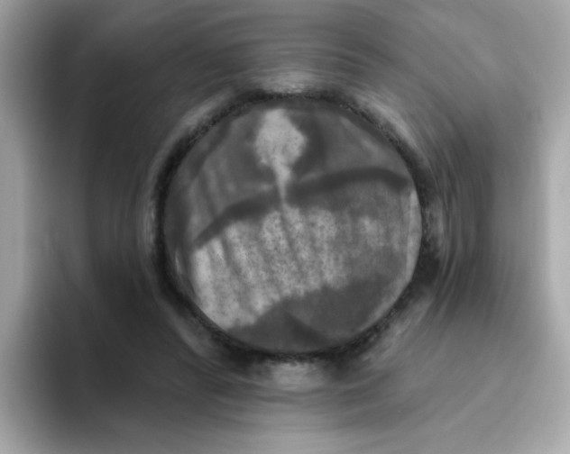 X0000094790400200711301610