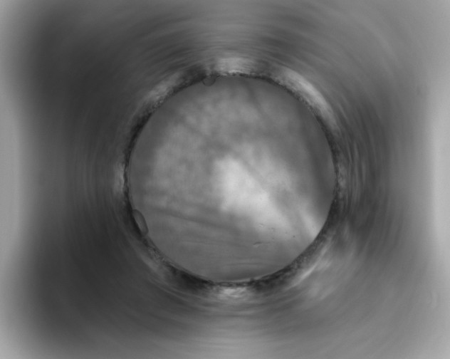 X0000094790401200711301610