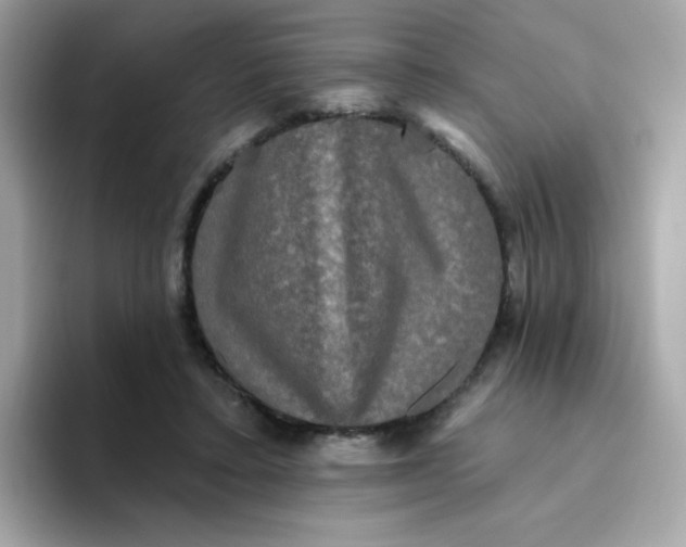 X0000094790403200711301610