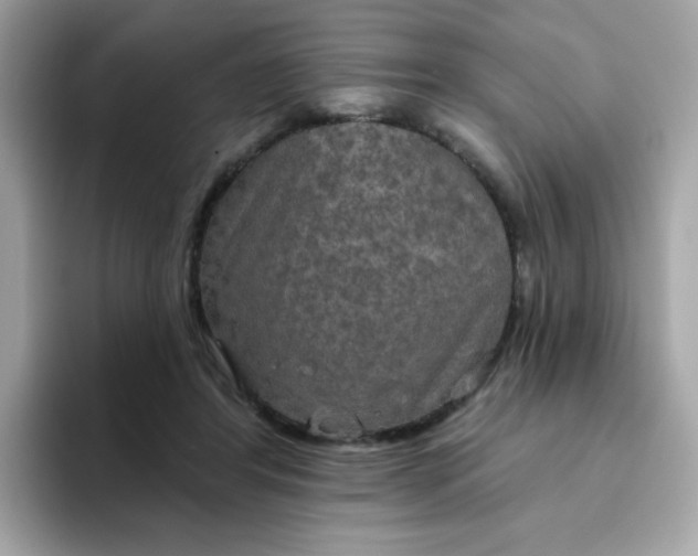 X0000094790404200711301610