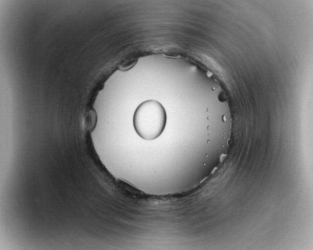 X0000094790405200711301610