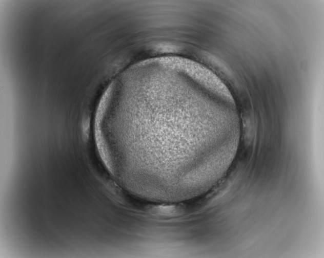 X0000094790406200711301610