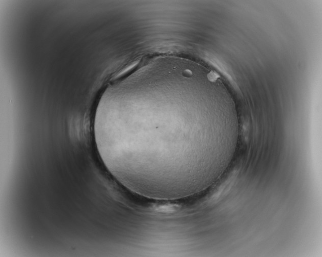 X0000094790407200711301610