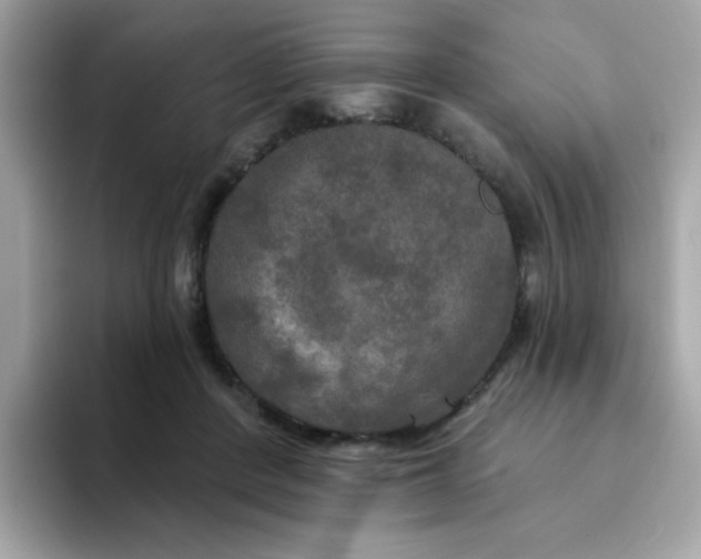 X0000094790408200711301610