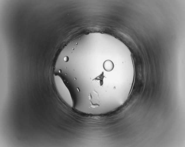 X0000094790409200711301610