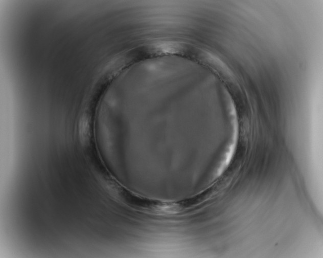 X0000094790410200711301610