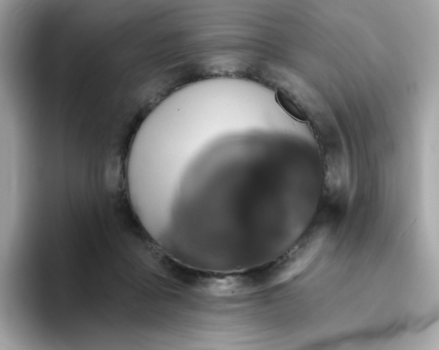 X0000094790411200711301610