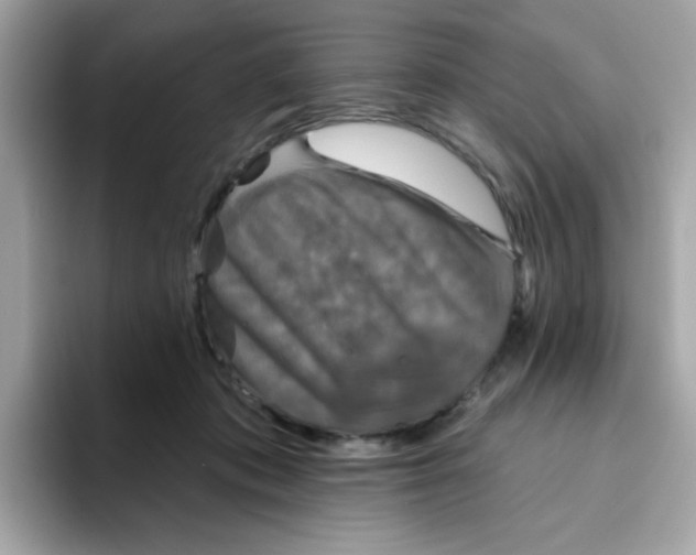 X0000094790413200711301610