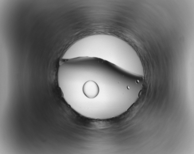 X0000094790417200711301610