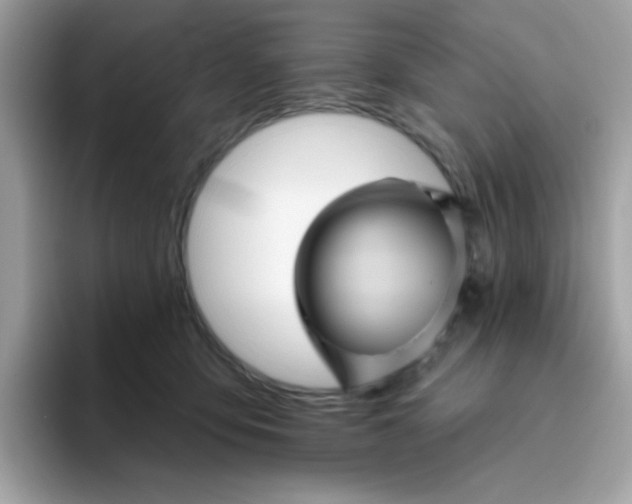 X0000094790419200711301610