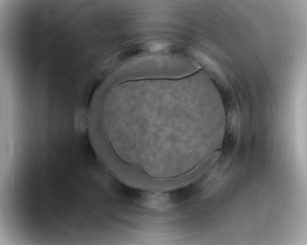 X0000094790421200711301610