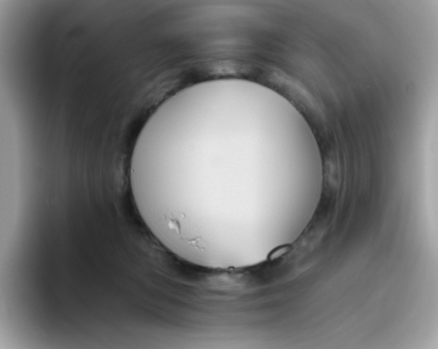 X0000094790422200711301610