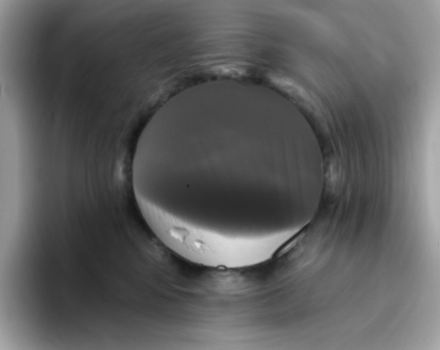 X0000094790424200711301610